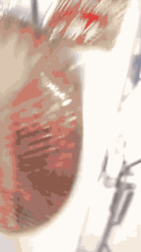 سلام عليكم  بايسكل بناتي 26 ياباني كامل سعر 85بي مجال
*********** رقمي
