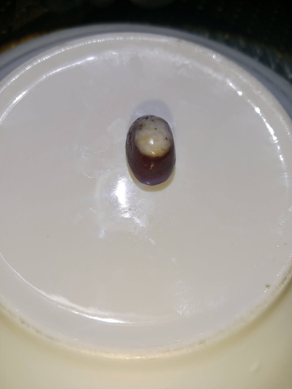 احجار كريمة  للبيع


**إذا كنت صاحب هذا الإعلان وتريد حذفه لأي سبب، رجاءا أرسل رسالة إلى الدعم الفني**