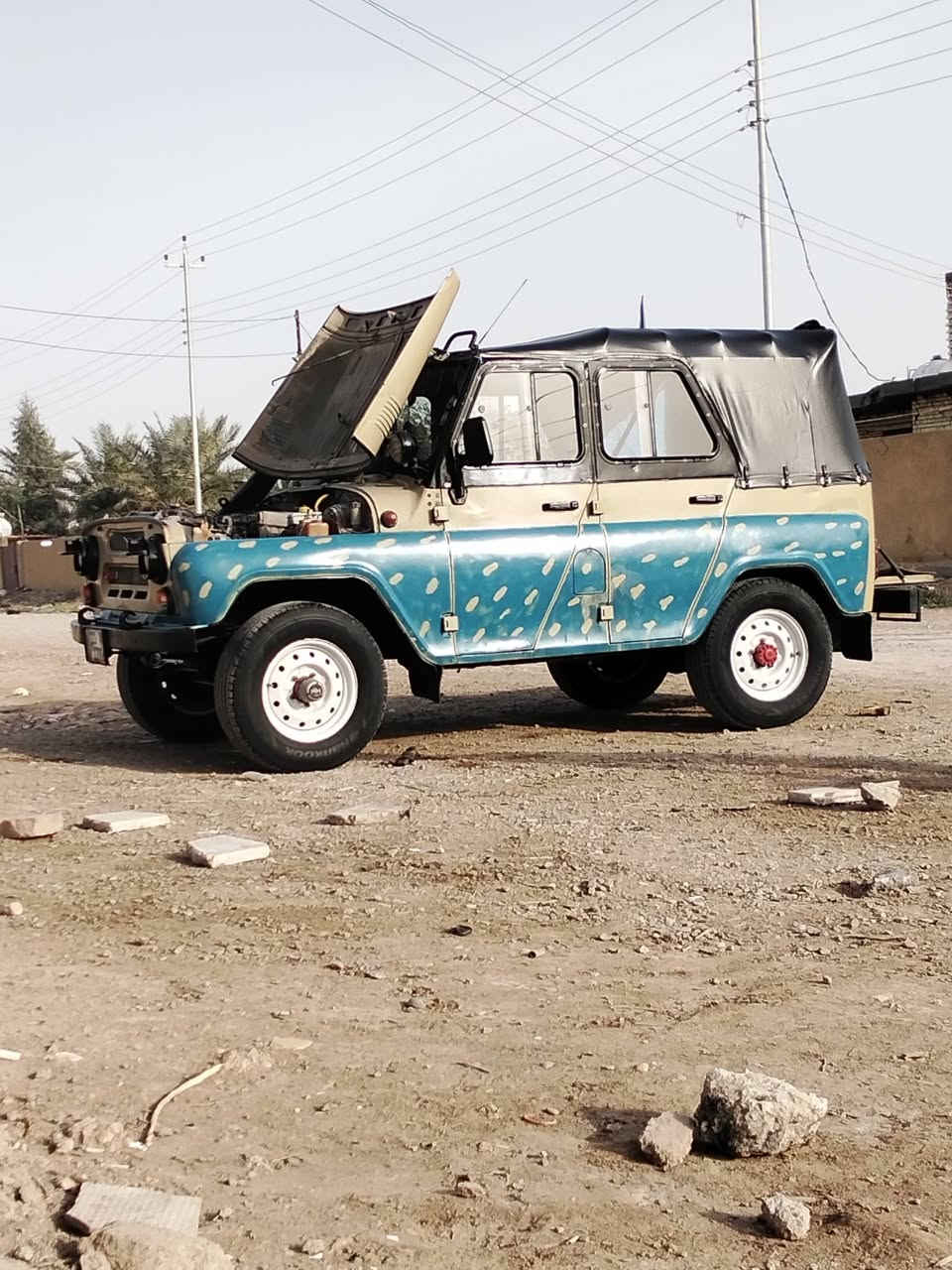 سلام عليكم 2004 فحل بدون للبيع مكاني بغداد شعب هاتف ***********
