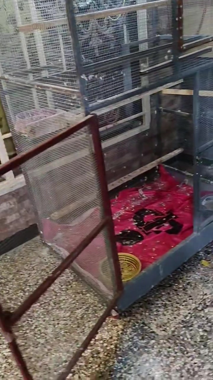 سلام عليكم قفص حديد للبيع انارة جاهزه بي ونضافه فول و٣ بيبان بي بغداد مدينة الصدر
 الطول ١٨٥ 
العرض١٢٠
٥٠ نهايته


**إذا كنت صاحب هذا الإعلان وتريد حذفه لأي سبب، رجاءا أرسل رسالة إلى الدعم الفني**