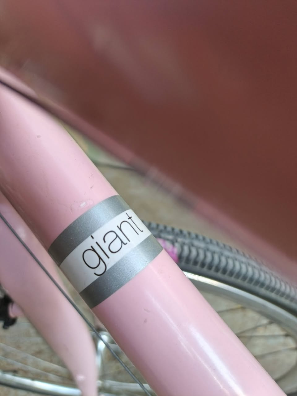 متاح giant حجم 28 لشه فافون ويل زوم بايسكل حيل نظيف وخفيف سعره 120 الف. بي مجال


**إذا كنت صاحب هذا الإعلان وتريد حذفه لأي سبب، رجاءا أرسل رسالة إلى الدعم الفني**