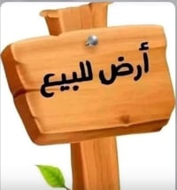 التوحيد المربع الأول • ماء كهرباء مجاري • شارع ١٥