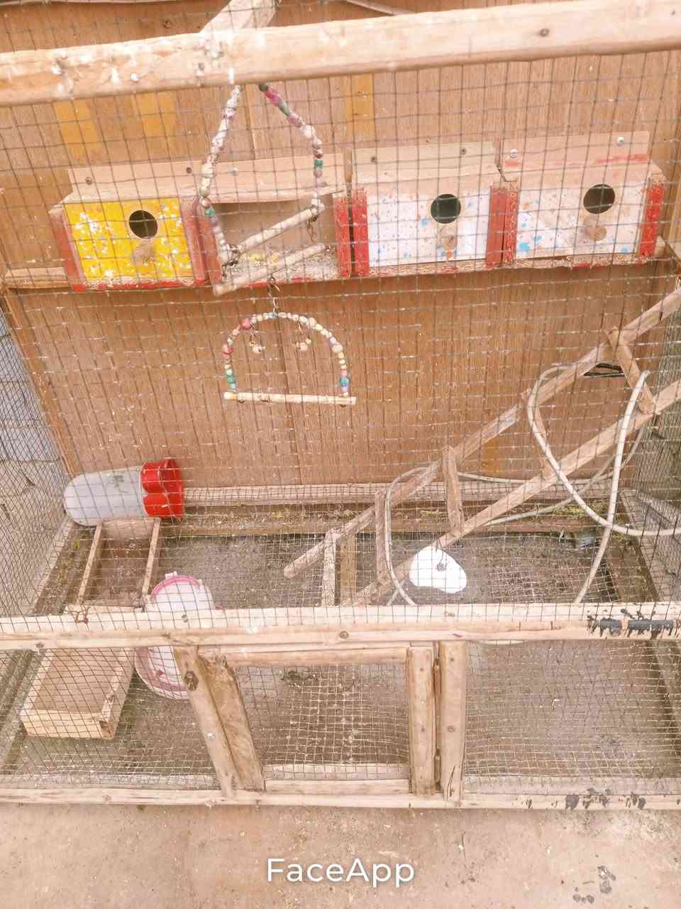 اسلام عليكم قفص للبيع  ابو الجرار كلش جبير كل لاحتياطات بي يرادله فقط سبغ سعر 70وبي  مجال للشراي مكاني سبع البور


**إذا كنت صاحب هذا الإعلان وتريد حذفه لأي سبب، رجاءا أرسل رسالة إلى الدعم الفني**