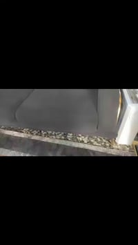 تخم تركي • ٨ مقاعد سرير • بغداد الدورة