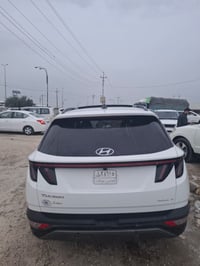 ٢٠٢٣ • وارد امريكي • حادث بنيد