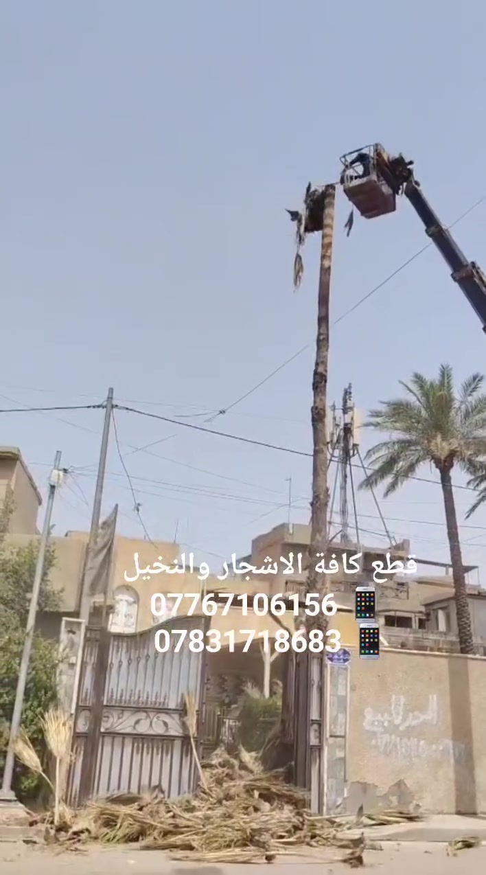 #خدمات_قلع_وقطع_النخيل_والأشجار_مع_أبو_أمير! 🪓
​تحتاج ترتيب حديقتك أو تصفية مزرعتك؟ نصلك أينما كنت في بغداد بأحدث المعدات وكادر محترف.
​🛠️ خدماتنا تشمل:
​قلع النخيل والأشجار من الجذور وبأمان تام دون أضرار.
​قطع وتشكيل الأشجار وتصفية الأغصان العالية والمتداخلة.
​تنظيف الموقع ونقل كافة المخلفات والأنقاض فوراً بعد العمل.
​⚡ سرعة بالإنجاز، كادر مجرب، وشغل نظيف يبيض الوجه.
​📞 للحجز والاستفسار، اتصلوا بنا على الأرقام التالية:
📱 ***********
📱 ***********
​📍 بغداد وكافة المناطق المجاورة
​"خدمتنا سريعة.. ورضاكم هو هدفنا!"
