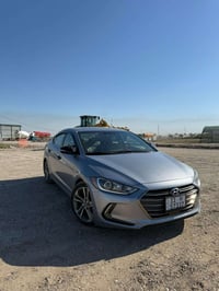 النترا ٢٠١٧ • وارد امريكي • بدون صبغ