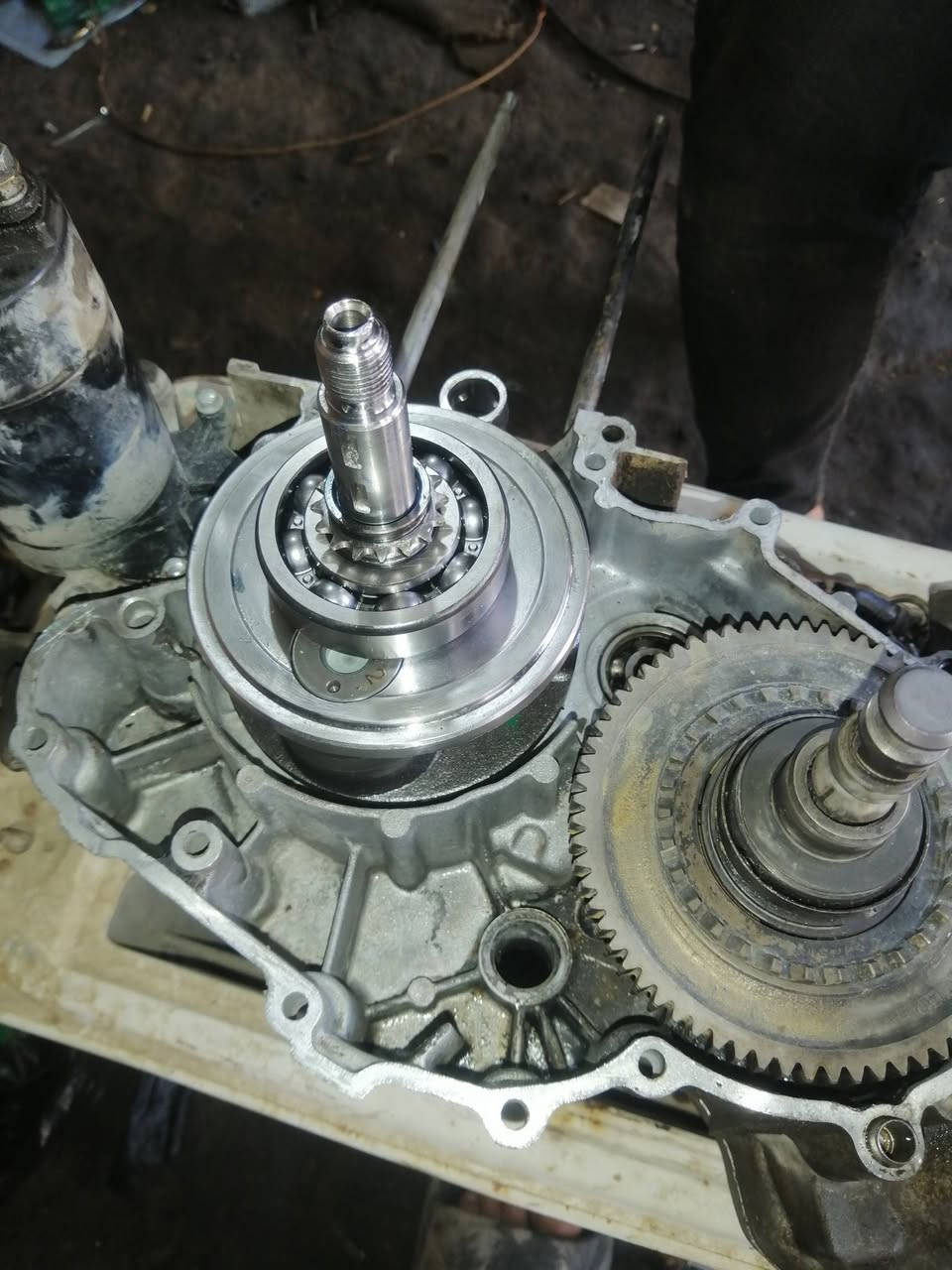 سلام عليكم على بركة اللة شرك  تكتك2020 ضمان6اشهر  متواجد خاص او وتساب***********  والي ماعده يشلع عيوني بلاش وعلي
