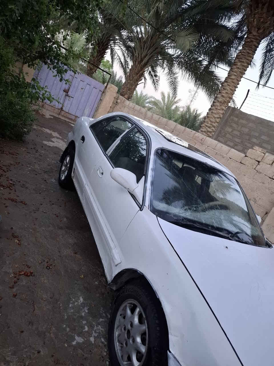 السلام عليكم سوناته للبيع موديل ٩٦ سياره كير ومحرك وحداديه وتخم تاير  كله جديد كهربائيات باتري جديد رقم كربلاء خصوصي  راعي السياره متوفي وسعرها مناسب مكاني بابل سده الهنديه التفاصيل ***********
