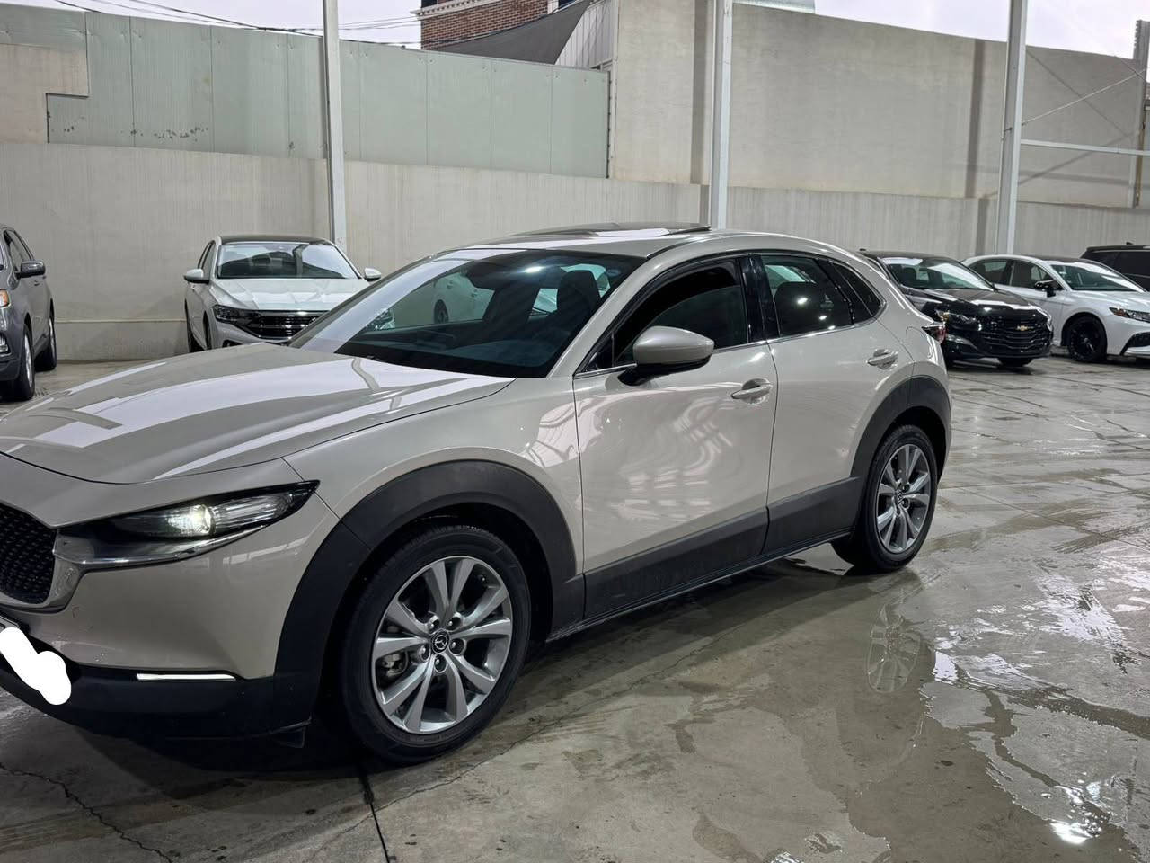 Mazda CX-30 premium 2024 
کلین خلیجی 
فول مواسەفات
ڕادار ٫ داتاشۆ ، سندوق شەفت، سڵایت ، کوشن کارەبا خەزن هیتەر  ، دەبڵ ئەکسل ، دوو مۆدی لێخوڕین ، موکەبەرەی بۆس، پێشی کەپس. زۆر مواسەفاتی تر
ڕەقەم سلیمانی سەنەوی تا ٢٠٣٠ تازەیە 
,١٥٧$
*********** السليمانية, العراق
