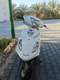 كامكو • نضيفه • نجف كوفه