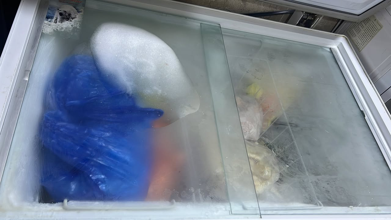 مجمده للبيع نضيفة كلش ماداخله تصليح
العرض ٥ اشبار 
والطول ٤ اشبار 
وبيها سلتين 

سعرها ٣٠٠ وبيها مجال بسيط 

(((مكاني الناصريه قرب المدينه المائيه )))


**إذا كنت صاحب هذا الإعلان وتريد حذفه لأي سبب، رجاءا أرسل رسالة إلى الدعم الفني**