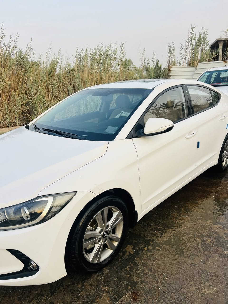 السلام عليكم 
للبيع سياره النترا خليجي 2017السياره مكفوله من الضربه 
فقط شخط بالمدكر الكدام جهت السايق سياره فول عدا  البصمه السياره بسمي تحويل بكل المحافظات السعر 143 او بيها مجال قليل حق الجيه مكان السياره بصره رقم الهاتف (***********)
