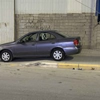 ٢٠٠٥ • ياباني اصل • كفاله عامه