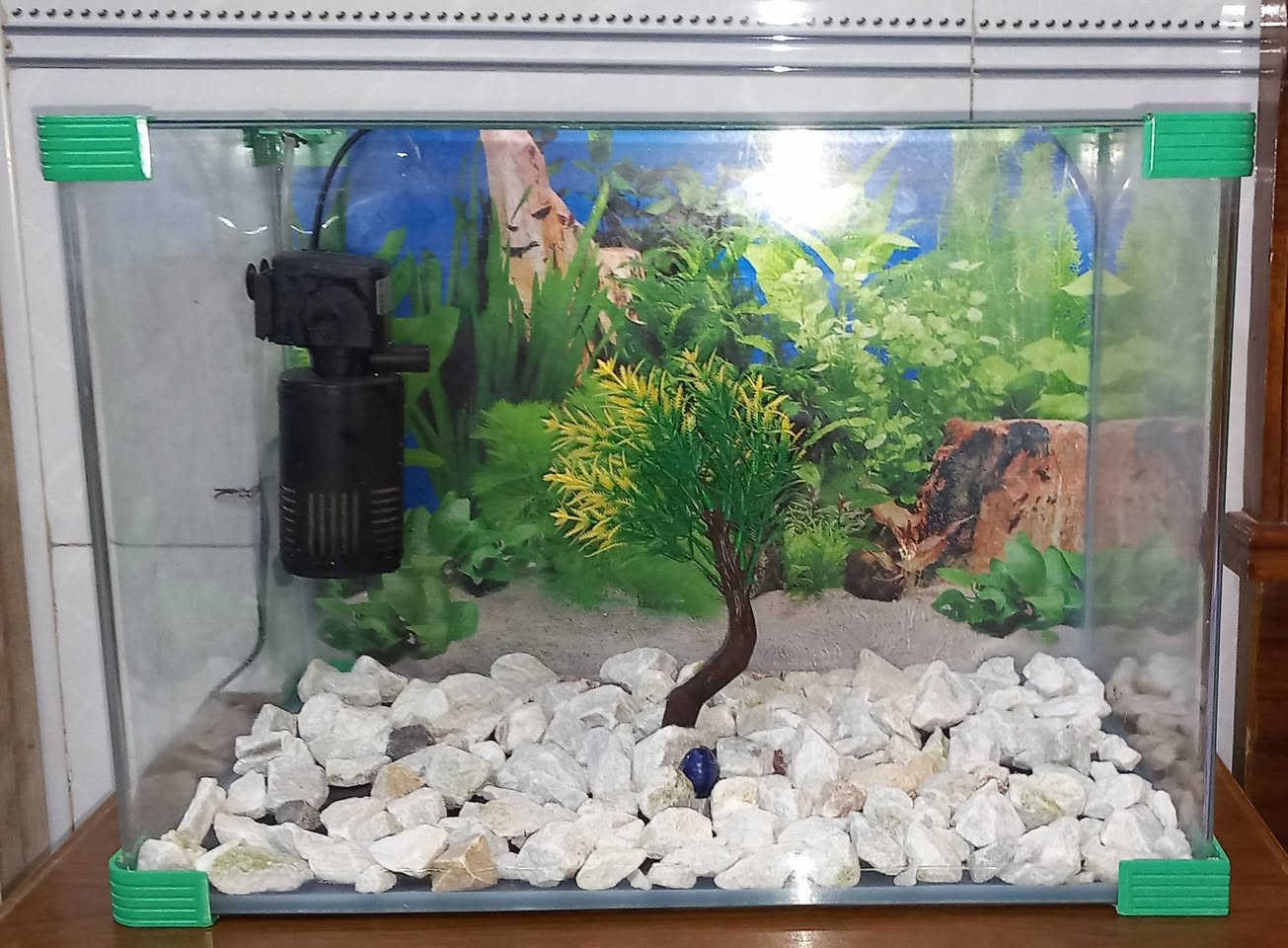 حوظ اسماك زينه 50x30
ماطوره فلتر ضخ هواء وتصفيت ماء الحوض
شبكة صغيره للسمك ولتنظيف الحوظ 
شجرة زينه مع حجر الحوض وعلبة اكل
المكان سبع البور / الضباط السعر ٤٠ الف وبيها مجال
تواصل واتساب ***********
