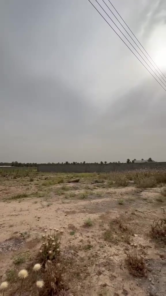 فرصه استثماريه
دونم للبيع 
(٢٥٠٠) م واجه(٥٠) /نزال/(٥٠) 
جنس الارض  طابوا ملك صرف 
العنوان بغداد الراشديه منطقه كاظم العلي 
***********
