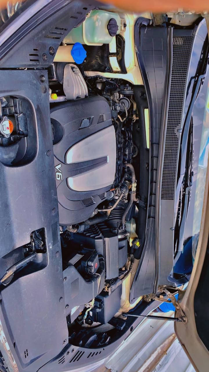 السلام عليكم 
للبيع سورنتو 2020 خليجي كفالة عامة ماشية 78 الف  رقم بغداد
بوضع الشركة  
فول مواصفات 
محرك 6 سلندر 
بانوراما 
شاشه جبيره
بصمة تشغيل وابواب 
صندوق كهربائي 
نظام ترحيب بالابواب 
كاميرا خلفيه
بردات خلفية بلادي  
حساس امامي خلفي 
تحكمات ستيرن
7 راكب 
وبقية المواصفات الفول بالسورنتو 
السيارة جديدة واستخدام شخصي قليل وبدون نقص جاهزة ومال جناي 
السعر 280 ورقة وبيهة مجال 
مكانها ديالى / الخالص 
للأستفسار .  ***********
