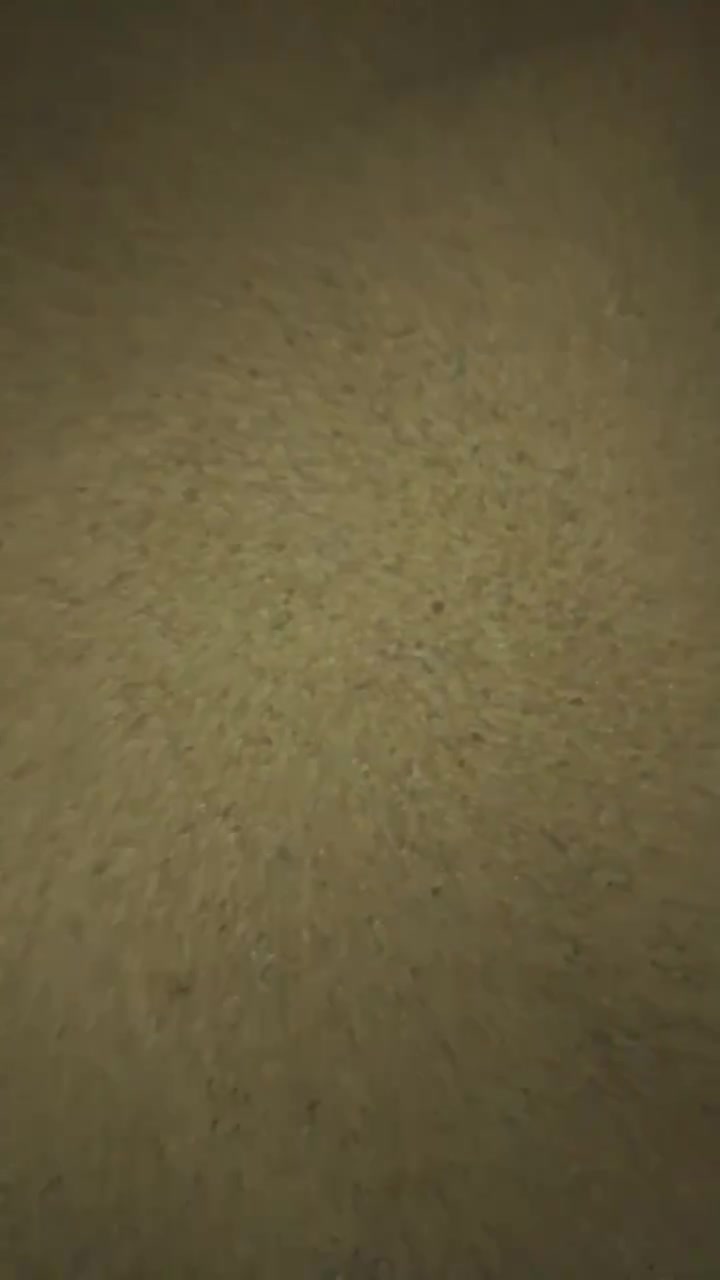 اسلام عليكم دخن نضيف للبيع الدخن مثل ما واضح بل فيديو المكان ديالى الخالص للستفسار رقم الهاتف ***********
