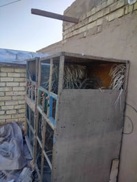 اقفاص العدد 2 قفل 50 الف مكاني بغداد الشعب 07709817189