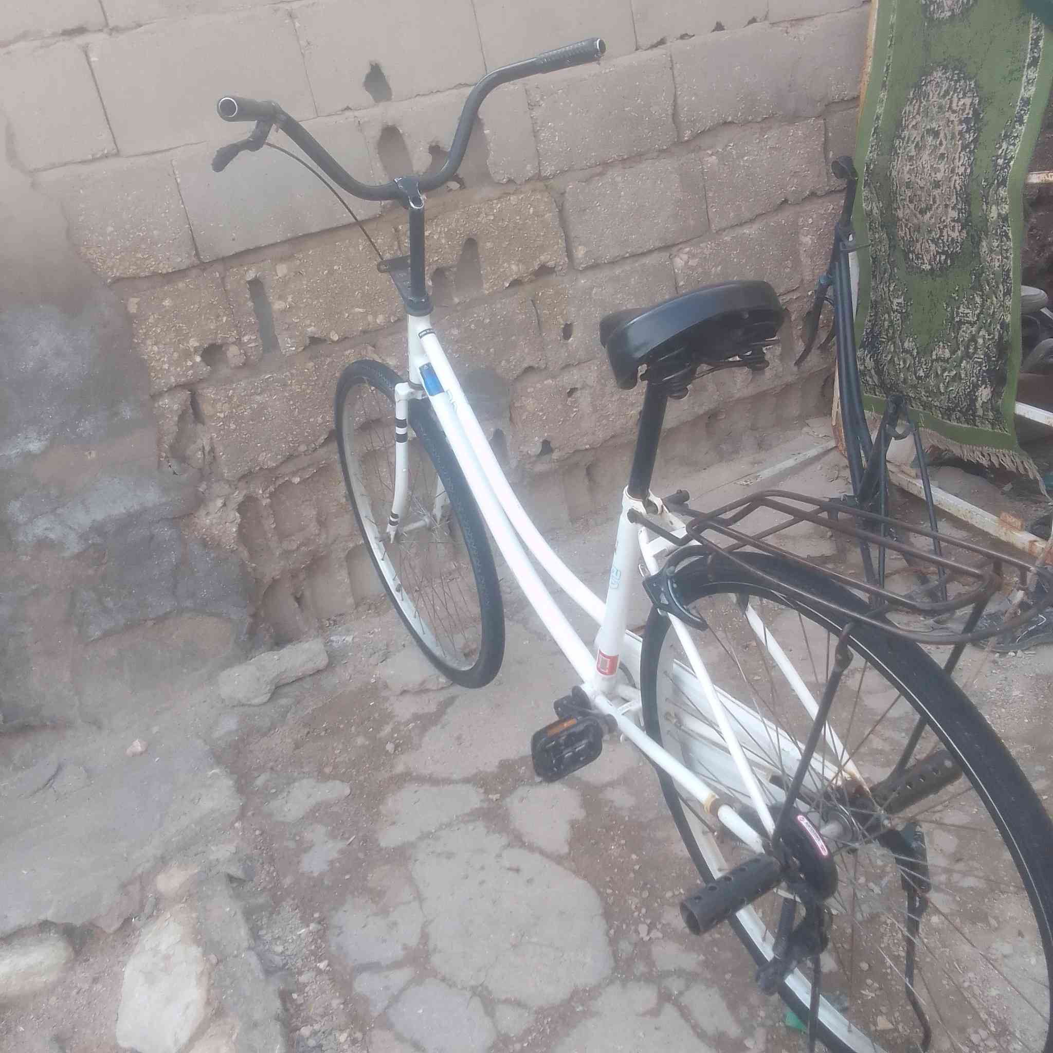 باسكل مديل سطعش للبع  السماوة لجربوعية لولوة  ٨٥


**إذا كنت صاحب هذا الإعلان وتريد حذفه لأي سبب، رجاءا أرسل رسالة إلى الدعم الفني**