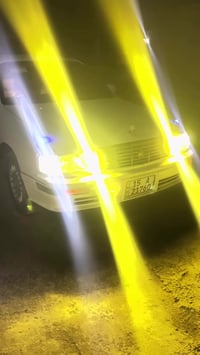 للبيع او  مراوس راس الثور كصه او نقل جثه/ بطه فصل رقم دولي كفاله بسمي ...