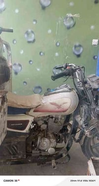 ستوته • موديل 15 • أوراق كاملة