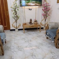 تخم ملكي مذهب بحالة جيدة
