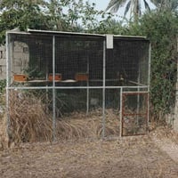 قفص • ٣م×١٫٥م×٢م • المحاويل البدع