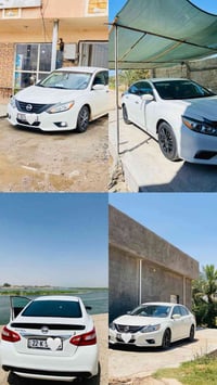 التيما • ٢٠١٧ • رقم شمالي