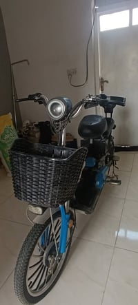 بايسكل شحن • ٢٠٢١ • بدون بطاريات