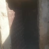 الافين • نص قطعة • للعائلة الصغيرة