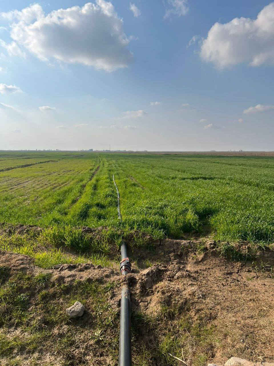 للبيع أرض  بمساحة 24دوانم في موقع متميز وهادئ. 200 متر عن التبليط
​📍 الموقع: سبع البور - ذراع دجلة - منطقة الشيخ عامر قرب سوك الشيخ عامر 
​📜 : طابو ملك صرف  فتح بيان فوري.
​💰 السعر: الدونم. الواحد 34 مليون وبي مجال 
​🚜 المميزات:
​خدمات كاملة (كهرباء، ماء سقي).
​موقع حيوي قريبه من مدرسة.
​تبعد 12 دقيقة عن السوق وبنات الحسن.
​🤝 الضمان: شرطنا الأساسي (ما تدفع ولا فلس إلا بعد فتح البيان في دائرة الطابو باسمك).
​📞 للاستفسار والتواصل (واتساب):
***********
***********
