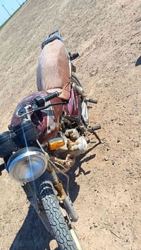 ماطور هيوشه للبيع اوراق اصوليه السعر 600بي مجال   كهربايات كله شغاله ب...