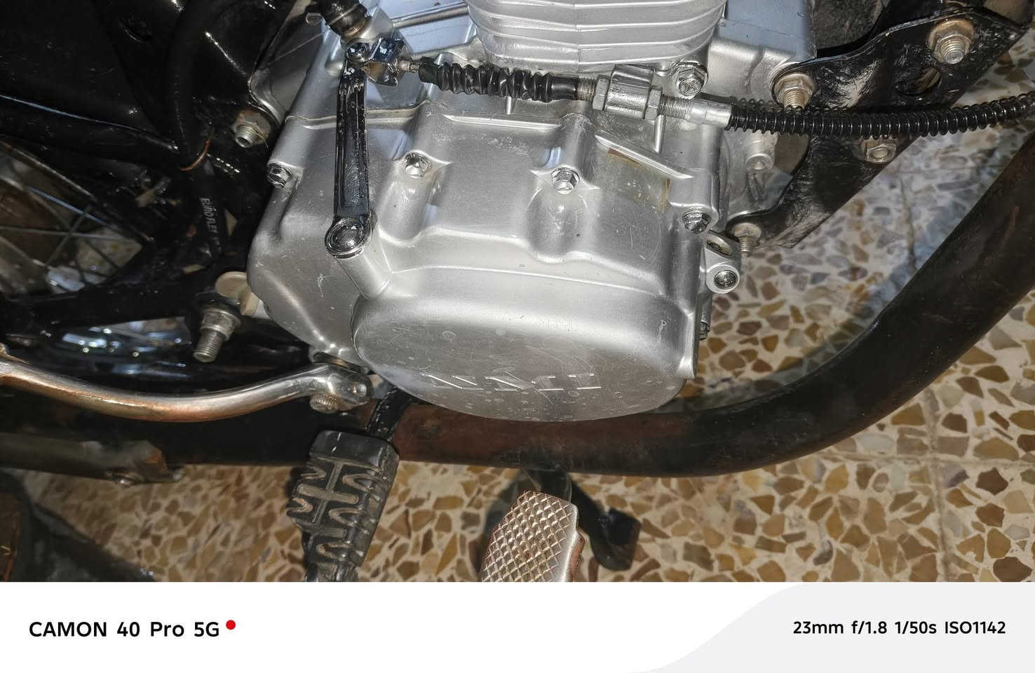 سلام عليكم نامه شلامجه للبيع شرط مكينه مامفتوحه شلعه ومعدل نار شرط 3 ترفع السعر 650 وبيها مجال


**إذا كنت صاحب هذا الإعلان وتريد حذفه لأي سبب، رجاءا أرسل رسالة إلى الدعم الفني**