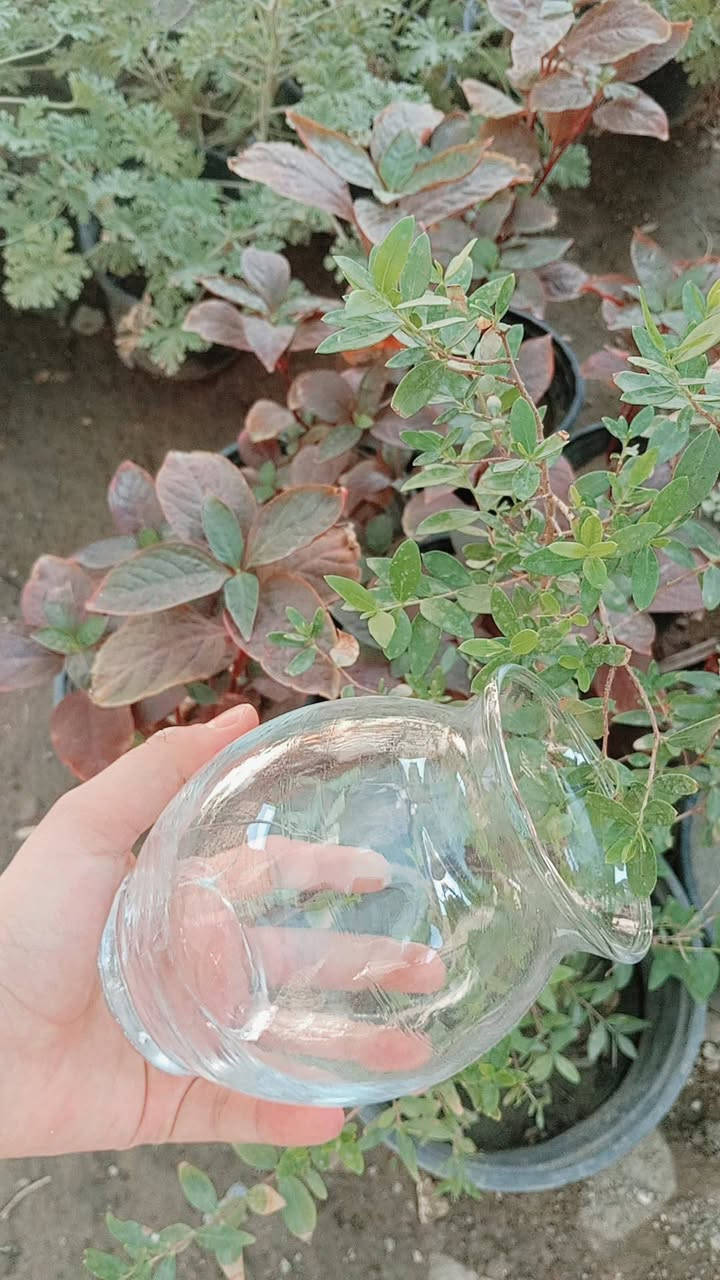 دوارق كل موديلات عليهم عررض
سعر دورق 1500 بس
يتوفر توصيل 🛺🛺 
الحجز والاستفسار مراسلة ع الخاص 
موديل دورق ودللوو. نوصلكم الباب ❤️🤍🍂


**إذا كنت صاحب هذا الإعلان وتريد حذفه لأي سبب، رجاءا أرسل رسالة إلى الدعم الفني**