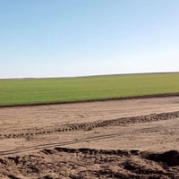 ابو غريب الزيدان • مخدوم ماء وكهرباء • طابو زراعي سند 25