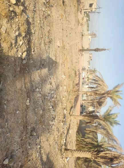 قطع اراضي للبيع سند 25السعر ال100م بي 7.500مليون وبيها مجال العنوان كوفه شارع المعمل مقابل البيطره تبعد عن الشارع العام 50م للاستفسار ***********يوجد واتساب او على الخاص
