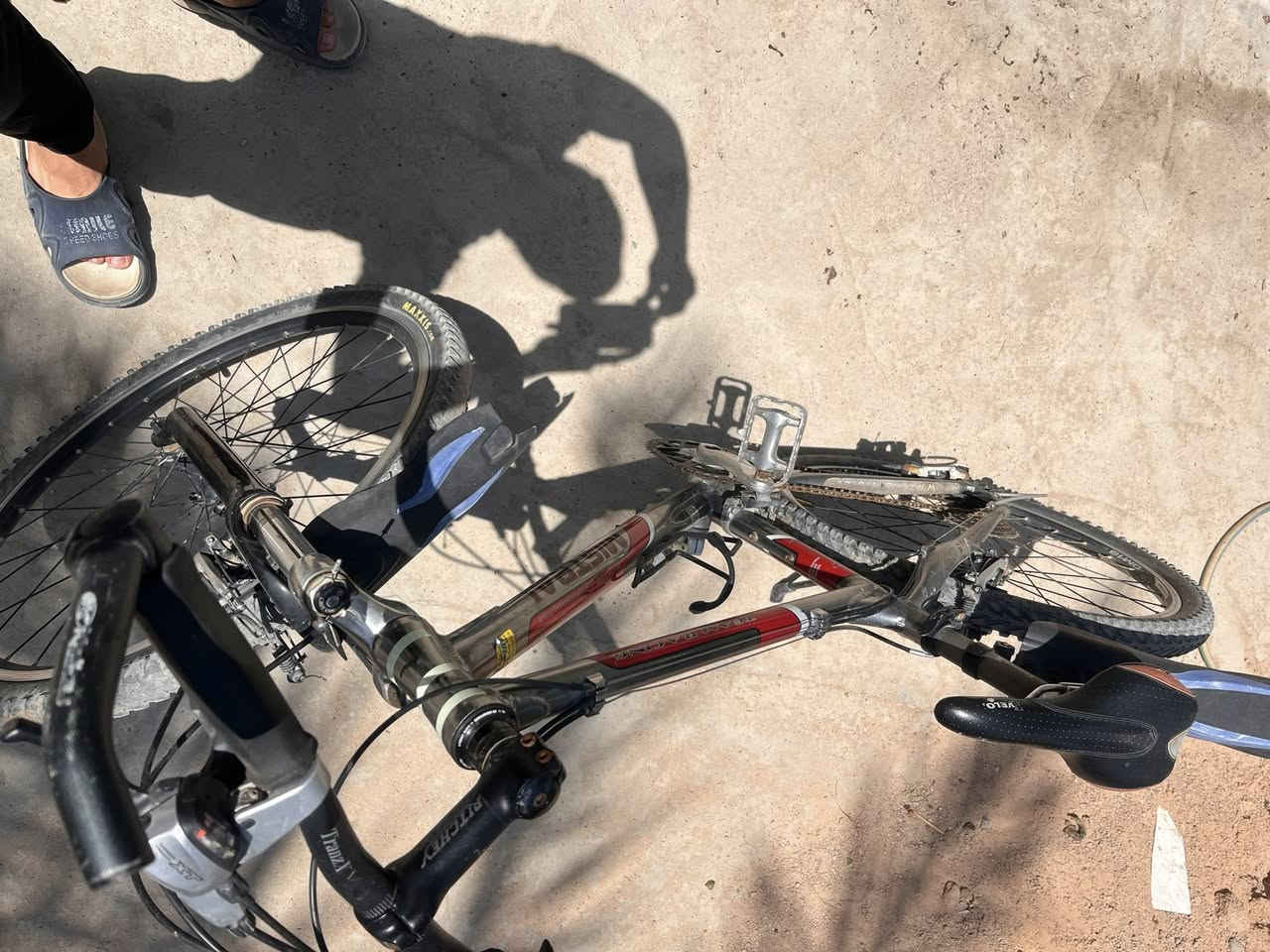 السلام عليكم
باسكل للبيع مثل ما موضع كدامكم غراضه كلها shimano الله شاهد اني اشتريته من خارج العراق 
السعر 200 الف وبي مجال 
مكاني بغداد
***********
