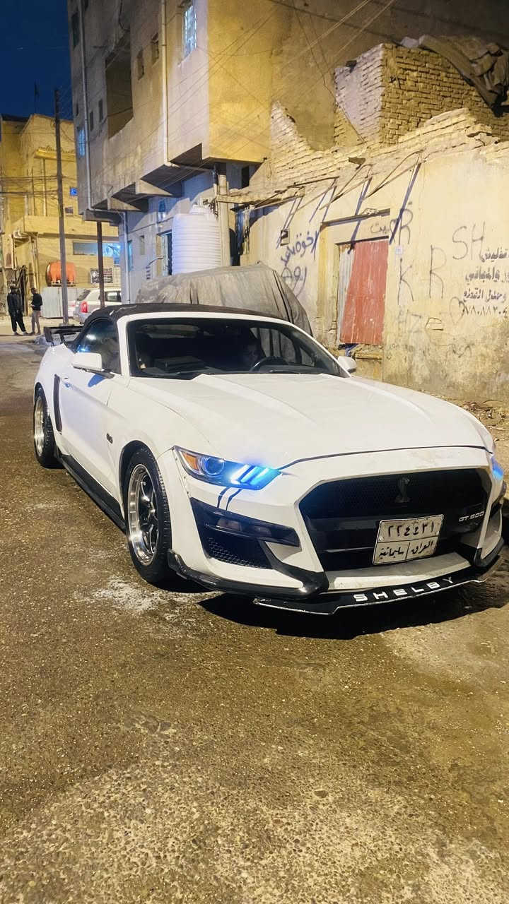 للبيع موستنك TGموديل2016السياره ما ناقصه اي شي مكاني بصره سعر١٣٥وبيه مجال للشراي استفسار ***********
