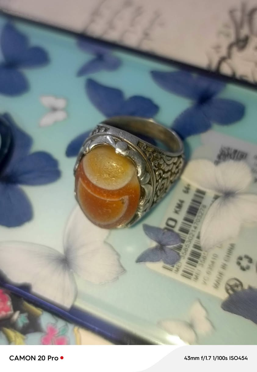 محابس شلعه 400 الف العنوان الشعب لايوجد توصيل


**إذا كنت صاحب هذا الإعلان وتريد حذفه لأي سبب، رجاءا أرسل رسالة إلى الدعم الفني**