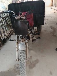 ستوته • بدون أوراق • بابل قرب جامعه