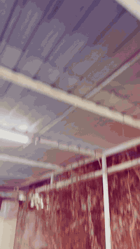 سكنس فحل للبيع الدراجه كفاله ما بيه نقص برغي كامل كهربائيات مكانيك كله كامل ملاحضه الدراجه ابيه بس ترايش تجاريات فقط مكاني ديالى بعقوبة رقمي *********** سعر 725 بيه مجال
