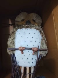 بومة • تطرد الحسد • جديدة