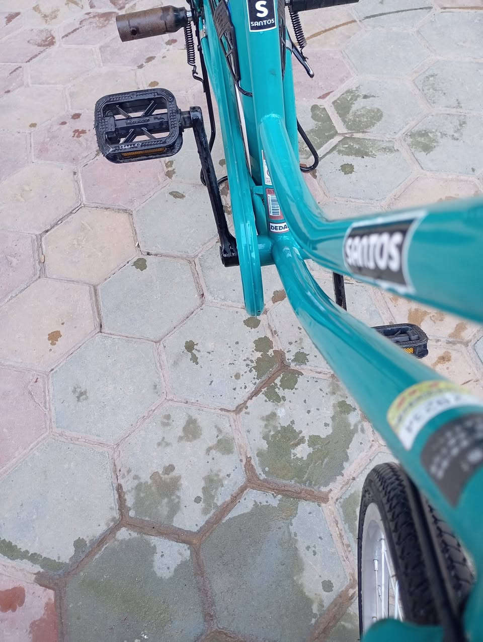 مراوس باسكل . نضيف


**إذا كنت صاحب هذا الإعلان وتريد حذفه لأي سبب، رجاءا أرسل رسالة إلى الدعم الفني**