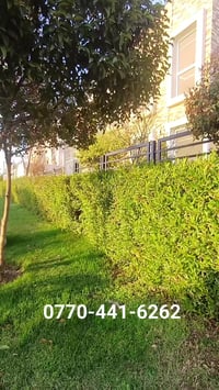 مجمع لانا ستي • ٣٠٠م • ٤ غرف