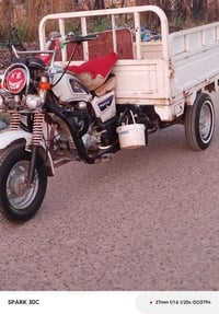 ستوته • موديل ٢٠١٩ • مرقمه وسنويه