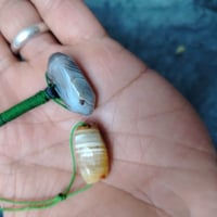 جزع يماني • قديم • ألوان جميلة