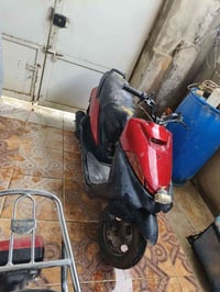 فراشة • شغاله • نضيفه