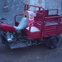 ستوته • بدون وراق • مكفوله