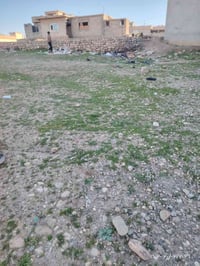 القوسيات الملايين الثالثه • ١٧٥م • عرض ١٢ ونص